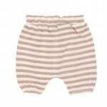 Striped Shorts_5550