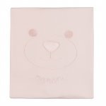 Teddy bear blanket_11416